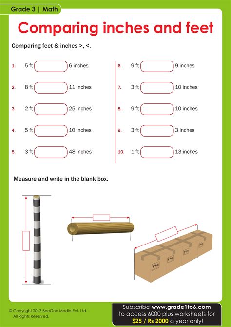 Feet To Inches Worksheet Imperial And Metric Lengths | PDF Printable