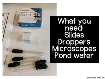 Microscope Lab Activity 的图像结果