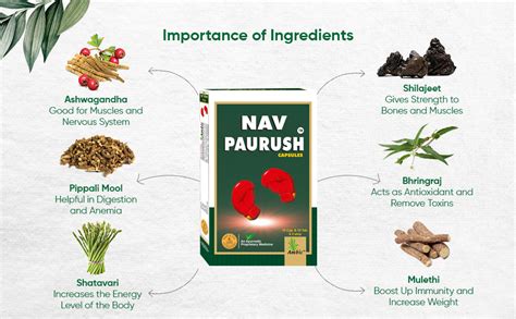 Ambic Nav Paurush Capsule I Ayurvedic Muscle Gain Capsules For Strength ...