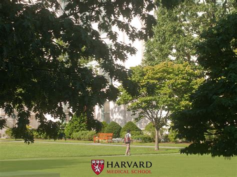 Harvard University Wallpapers - Wallpaper Cave