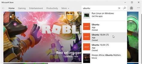 WSL2 Windows 1.0 Zsh 的图像结果