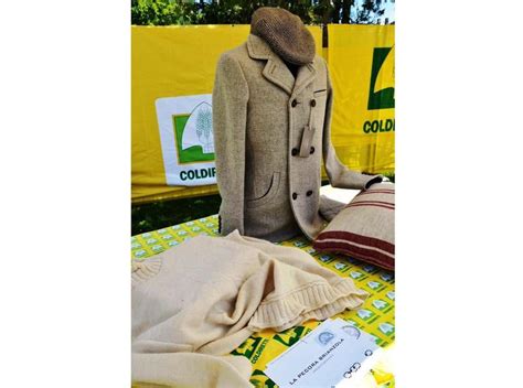 Pecora Brianzola: tosaerba a domicilio!   Newsfood  