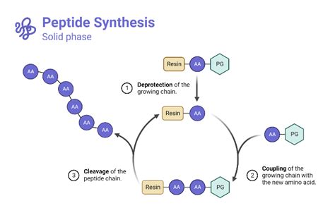 Image result for Peptide Synthesis Lab Experiment