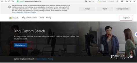 Bing Apiicon 的图像结果