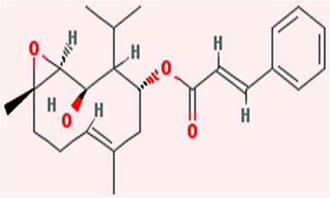 Subtractive genomics approach in identifying polysacharide biosynthesis ...