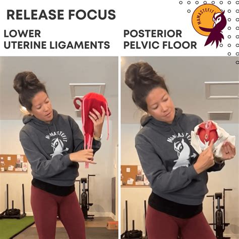 What Does It Mean When The Baby Is Already Head Down at Edith Carter blog