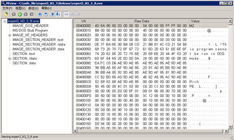 Image result for Pe64 File Format