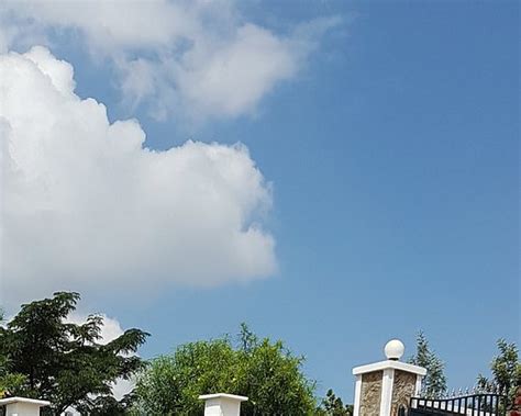 MEGG'S PLACE (Kisumu) - Specialty Hotel Reviews, Photos, Rate ...