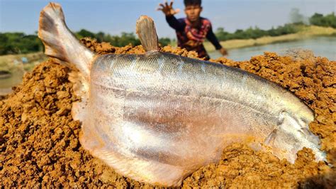 Image result for How to Catch Diving Fish