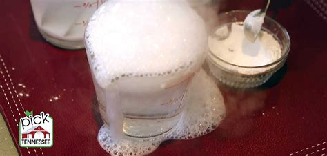 Image result for Food Testing Powder