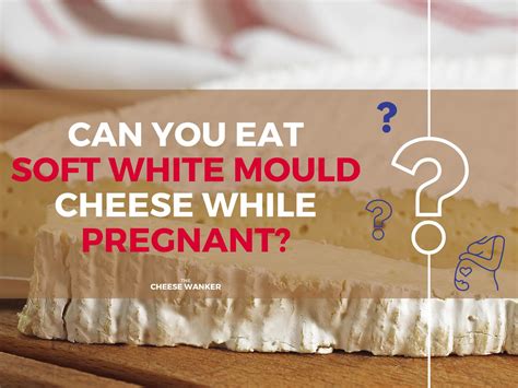 Soft Cheese Cheesecake Pregnancy at Hunter Langham blog