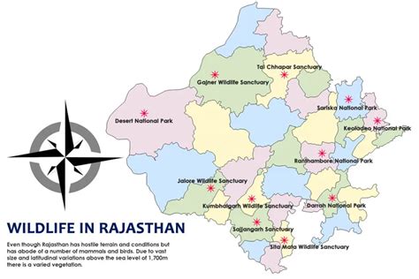 India’s Aravalli Green Wall Project at UNCCD COP16
