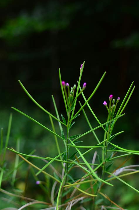 Image result for Computer Print Form Background