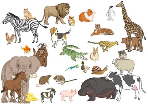 Animal Vocabulary: Animals Lesson Plan for ESL Teaching