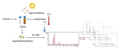 Stability and Degradation of Caffeoylquinic Acids under Different ...
