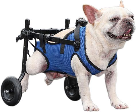 Amazon.com : AiMaKoDo Dog Wheelchair,Dog&Cat Wheelchair for Back Legs ...
