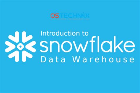 Snowflake Rbac and Access Control 的图像结果
