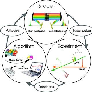 Image result for Computer Learning Zone Loop Record Set