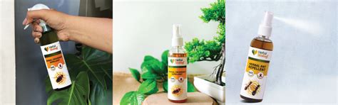 Are Natural Insect Repellents Effective? - Herbal Strategi