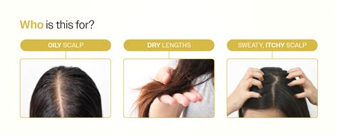 Buy Bare Anatomy Oil Control Shampoo | Sulphate & Paraben Free ...