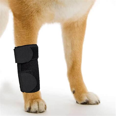 Amazon.com : GenetGo Dog Canine Front Leg Brace Paw Compression Sleeve ...