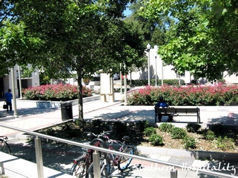 Image result for Shops Downtown Decatur Al