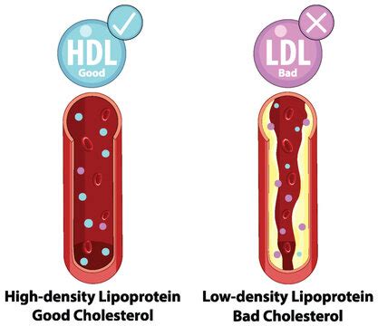 Image result for HDL Components Code