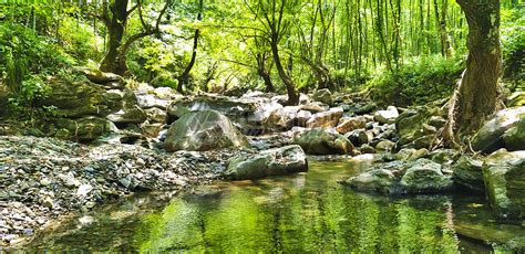 树林里的小溪高清图片下载-正版图片500596702-摄图网