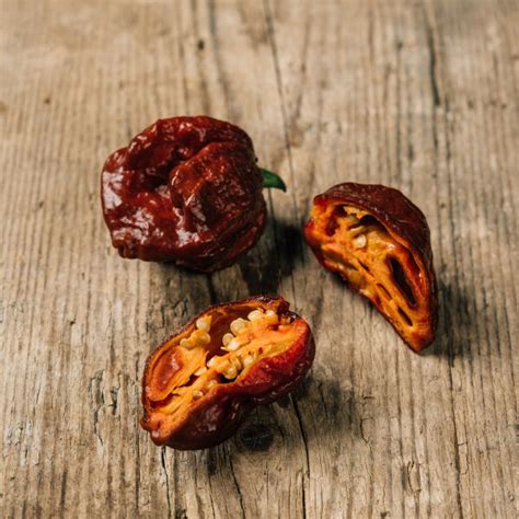 Chilli Pepper 'Trinidad Scorpion Chocolate' (Capsicum chinense) seeds