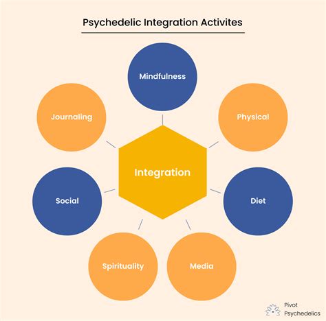 Image result for Psychosocial Integration Examples