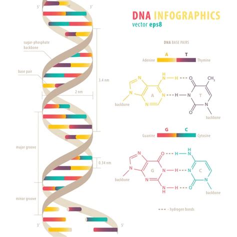 Image result for DNA Microarray Data