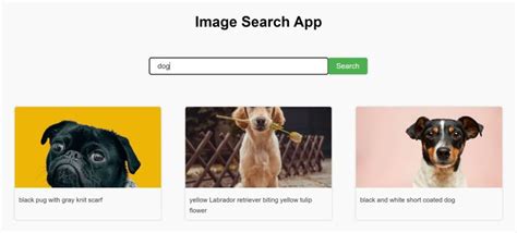 Image result for JavaScript Search App