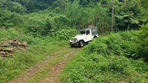 ARALAM WILDLIFE SANCTUARY (2026) All You Need to Know BEFORE You Go (w ...