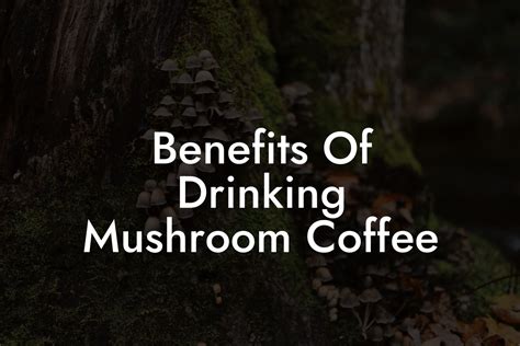 Benefits Of Drinking Mushroom Coffee - Mr Mushroom