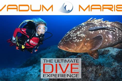VADUM MARIS DIVING & WATERSPORTS (2026) All You Need to Know BEFORE You ...