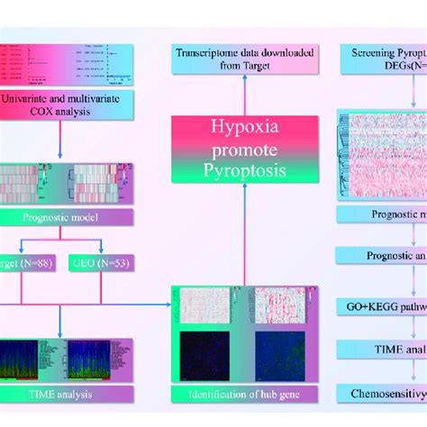 Image result for Pre-Lab Flow Chart