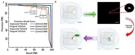 Magnetic-Controlled Microrobot: Real-Time Detection and Tracking ...