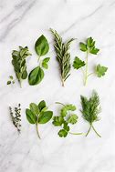 Image result for Herbs