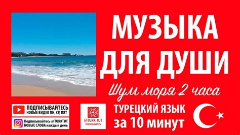 Музыка для души. Море. Фоновая музыка 2 часа - YouTube