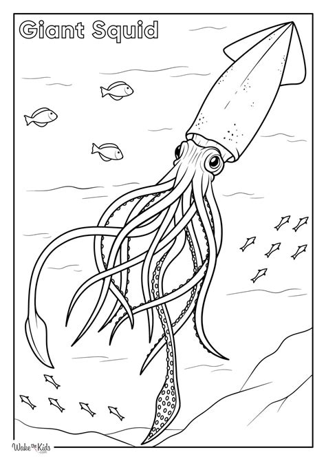 Image result for Octonauts Colossal Squid Coloring Pages