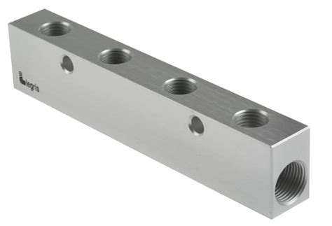 3311 13 17 04 Legris | Legris 3311 4 Outlet Manifold | 867-487 | RS