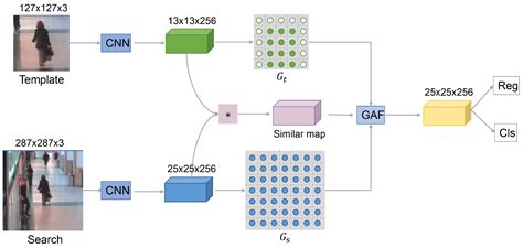 Cross-Correlation Fusion Graph Convolution-Based Object Tracking