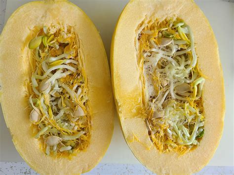 Spaghetti Squash Seeds