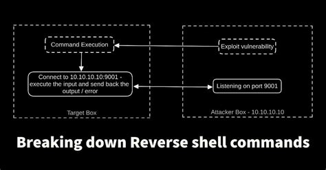 Image result for Reverse Shell Exploits