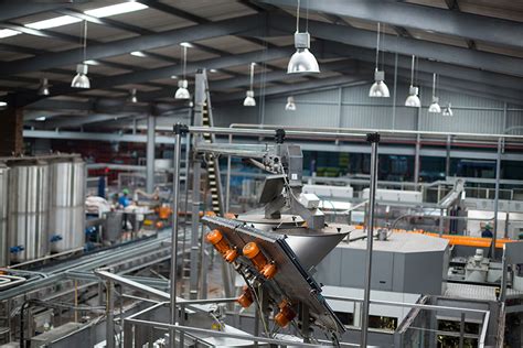 Insurance Manufacturing 的图像结果