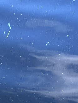 State Issues Cyanobacteria Bloom Advisory for Halfmoon Pond in Kingston ...