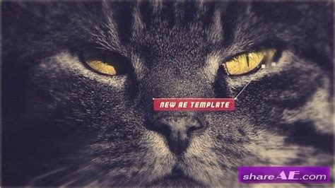 Image result for Motionarray.com Tutorials After Effects Photo Video Template Tutorial