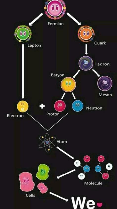 Quantum Basics Explained 的图像结果