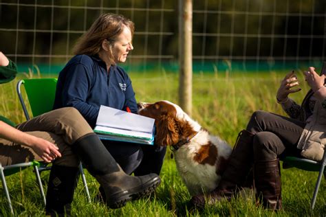 Rezultat imagine pentru Dogs Programmes