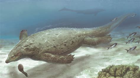 Species New to Science: [Paleontology • 2023] Prosaurosphargis yingzishanensis • An armoured ...